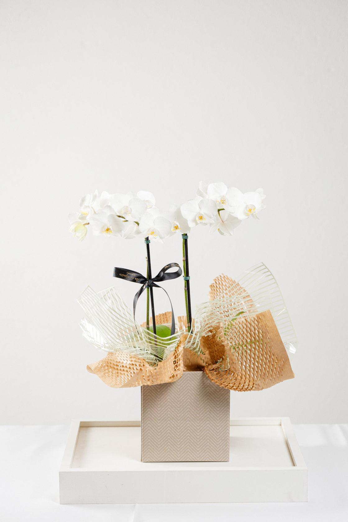 Orquídea